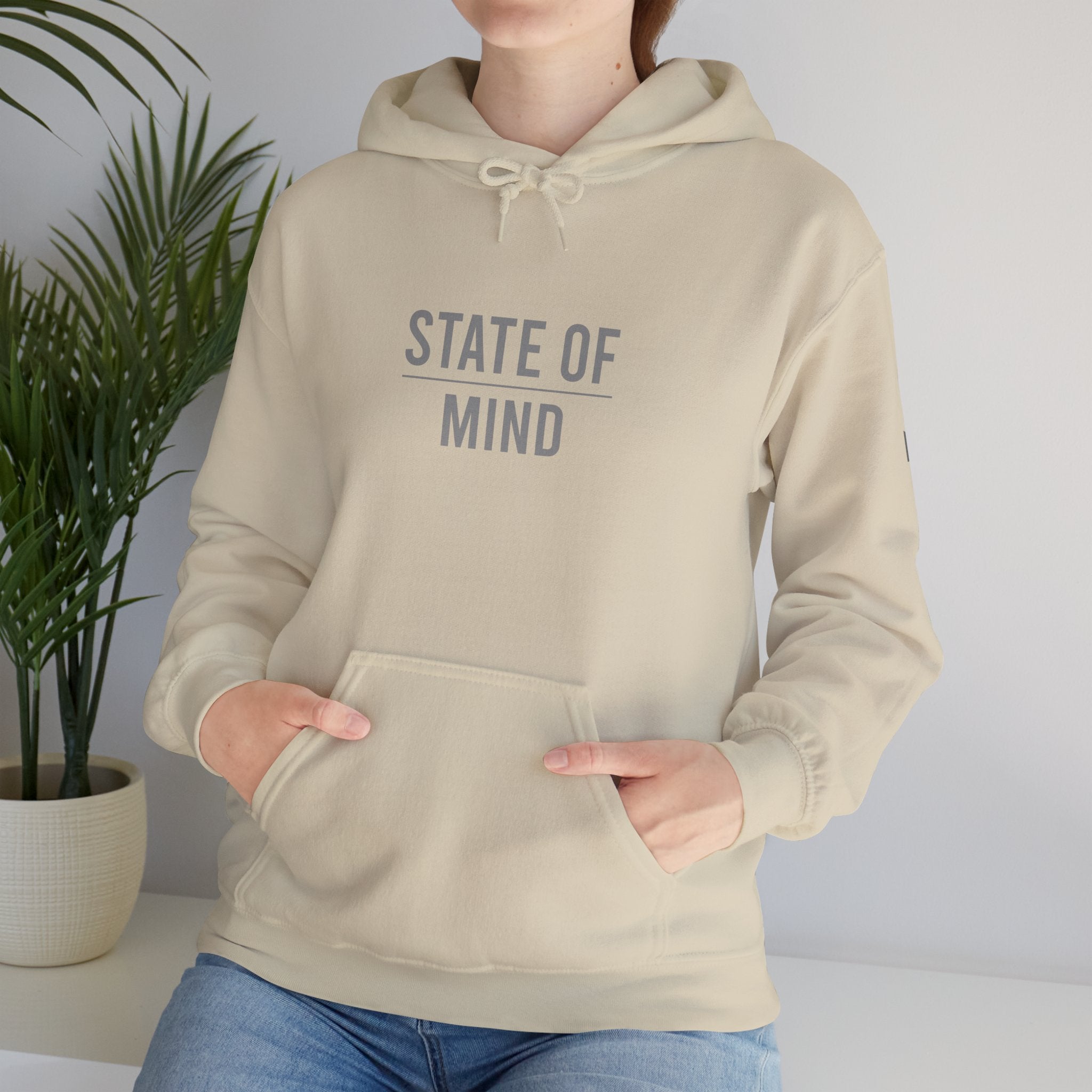 State of Mind – Control Hoodie