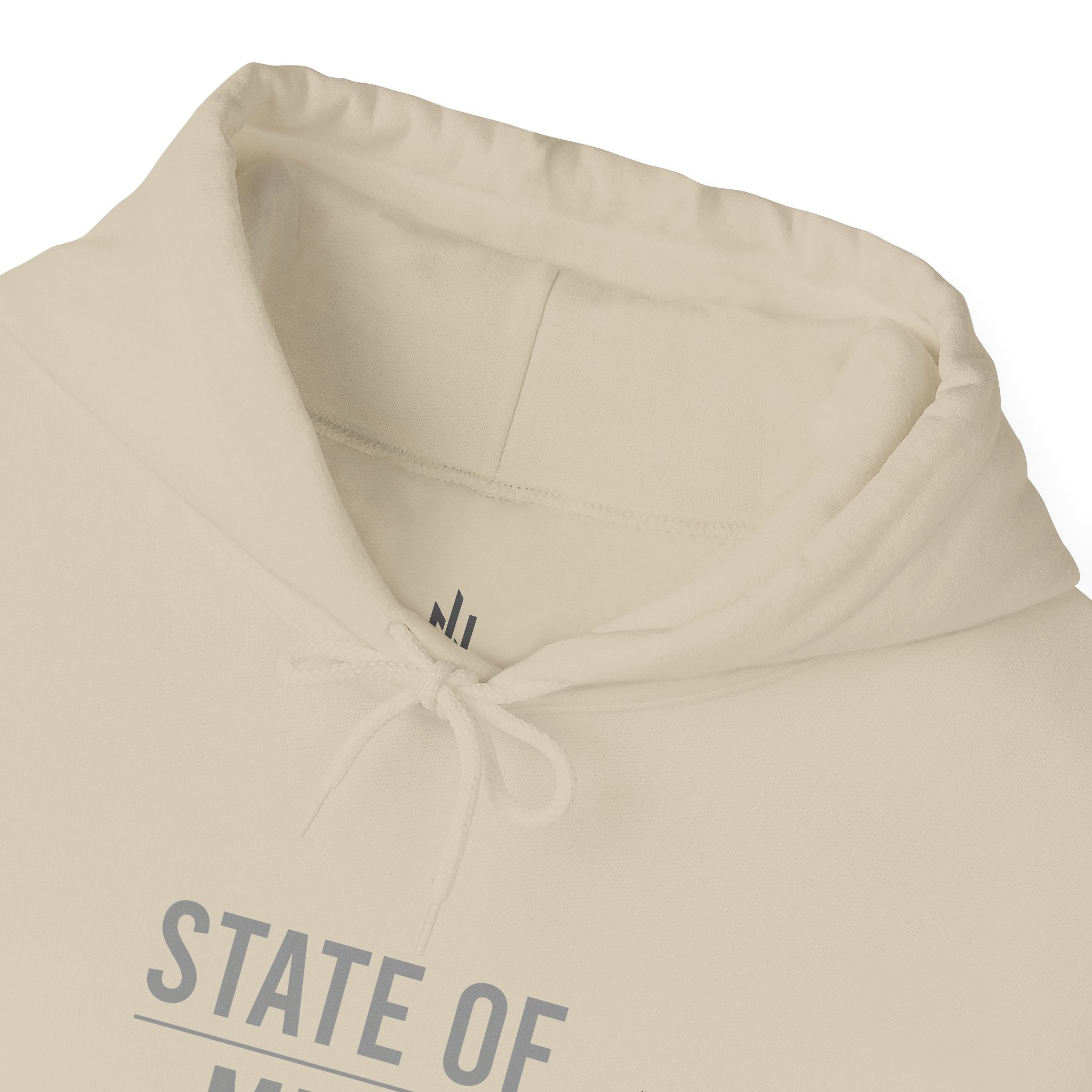 State of Mind – Control Hoodie